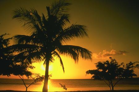 le lover des antilles